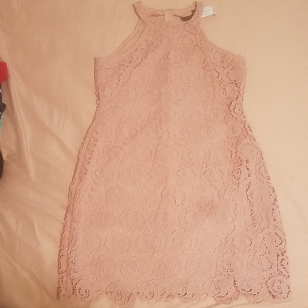 Beautiful Rose Laced Dress